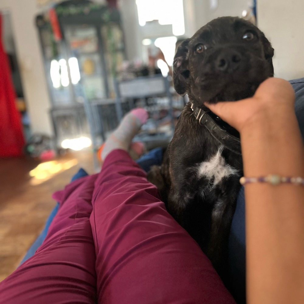 Meet your Posher, Aquarius